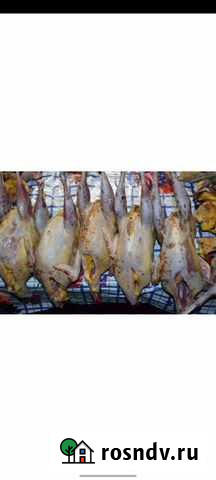 Мясо фазана Благовещенск - изображение 1