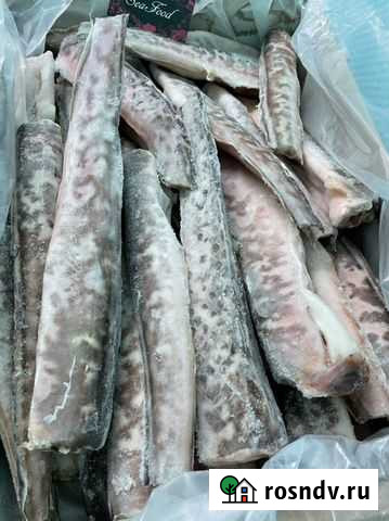 Конгрио Дмитров - изображение 1