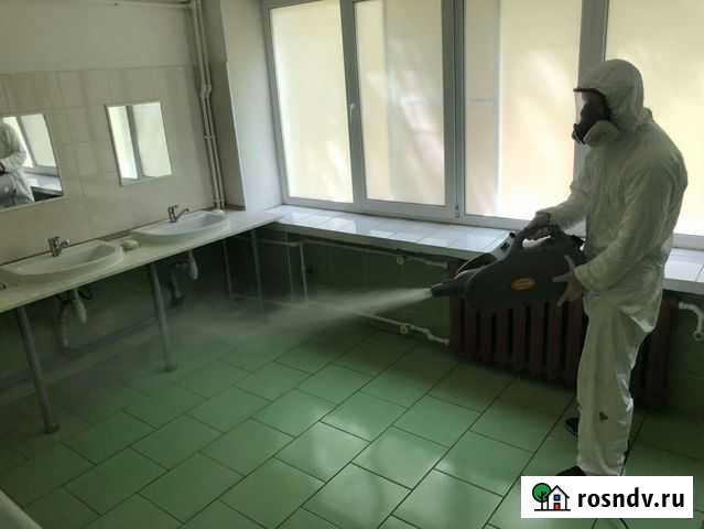 Уничтожение тараканов, клопов, блох, насекомых Москва - изображение 1