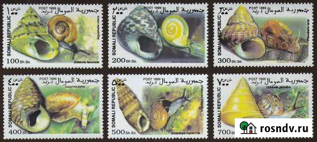 Улитки, Ракушки - Сомали 1999 MNH Вейделевка - изображение 1
