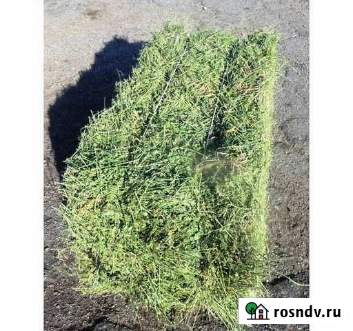 Люцерна Волгодонск - изображение 1