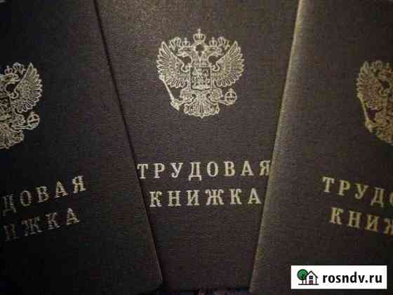Трудовая книжка Альметьевск