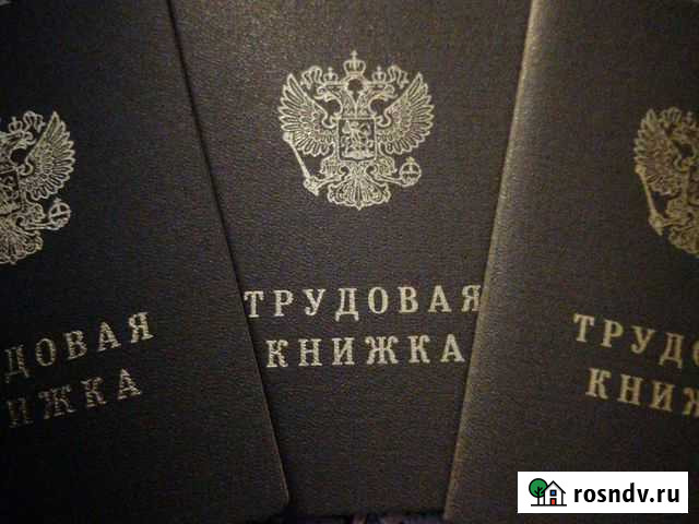 Трудовая книжка Альметьевск - изображение 1