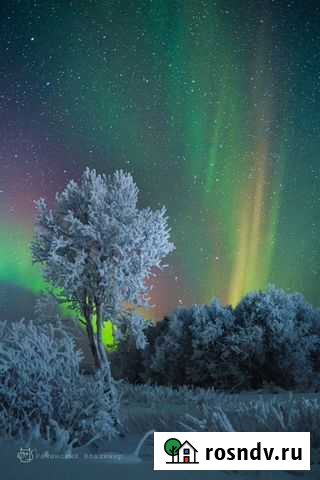 Экскурсии, фототуры. Териберка. Северное Сияние Мурманск - изображение 1