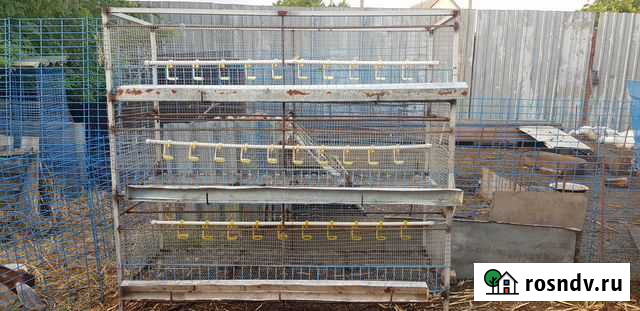 Клетки для выращивания бройлеров Рассвет - изображение 1