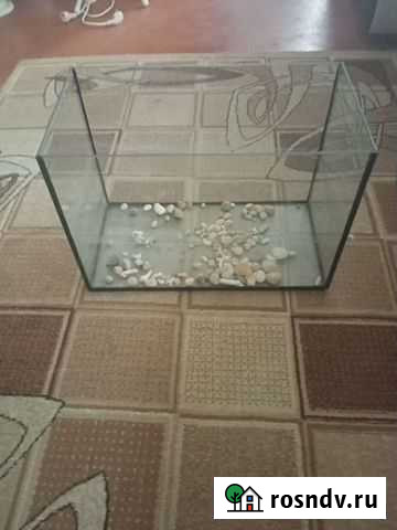 Аквариум Саратов - изображение 1