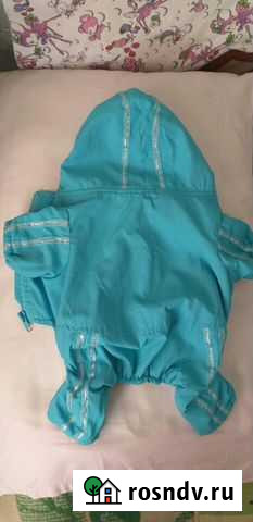 Одежда для тойтерьера и чихуахуа Петропавловск-Камчатский - изображение 1