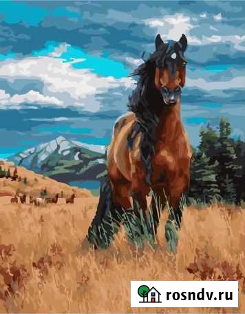 Картина по номерам Улан-Удэ - изображение 1