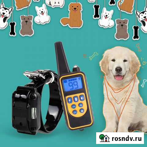 Электронный ошейник для собак P-880 новый Рязань - изображение 1