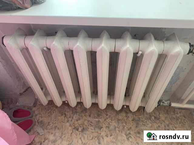 Батарея чугунная Биробиджан - изображение 1