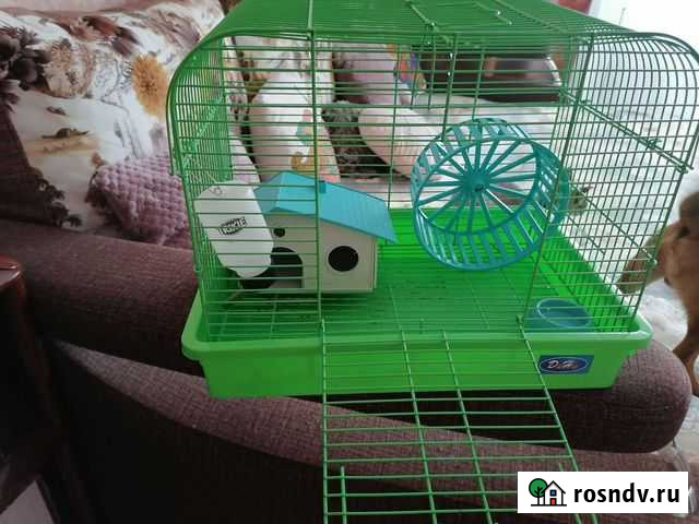 Клетка для хомяков бу Шарыпово - изображение 1