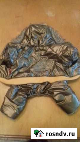 Новый зимний комбинезон для собаки Липецк - изображение 1