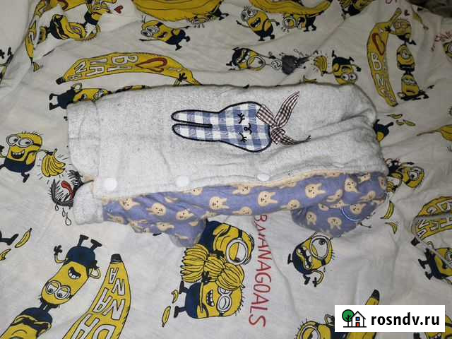 Одежда для животных Курск - изображение 1