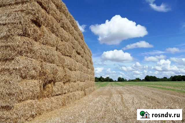 Сено посевное разнотравье Константиново - изображение 1