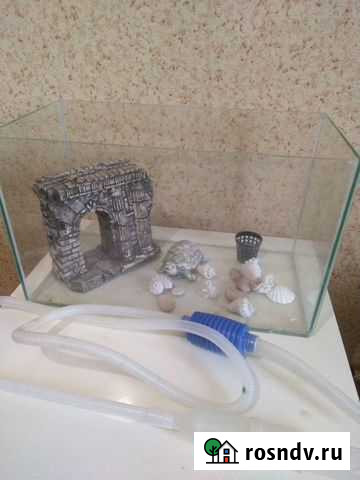 Аквариум Великий Новгород - изображение 1