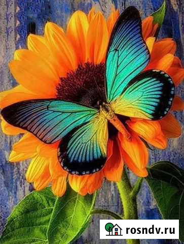 Алмазная мозайка, новые наборы для выкладки, 40х30 Мурино - изображение 1