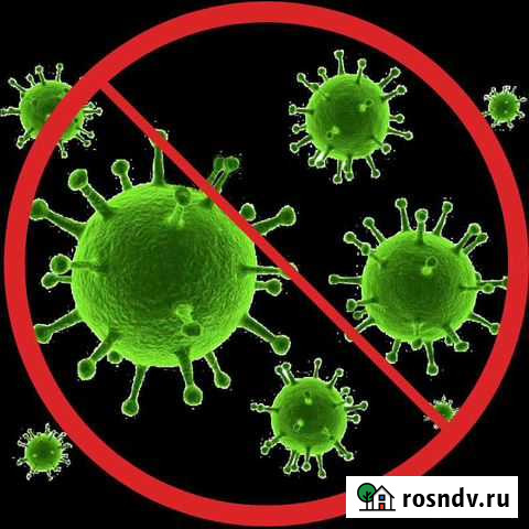 Дезинфекция (Обработка) от вирусов Нижний Тагил - изображение 1