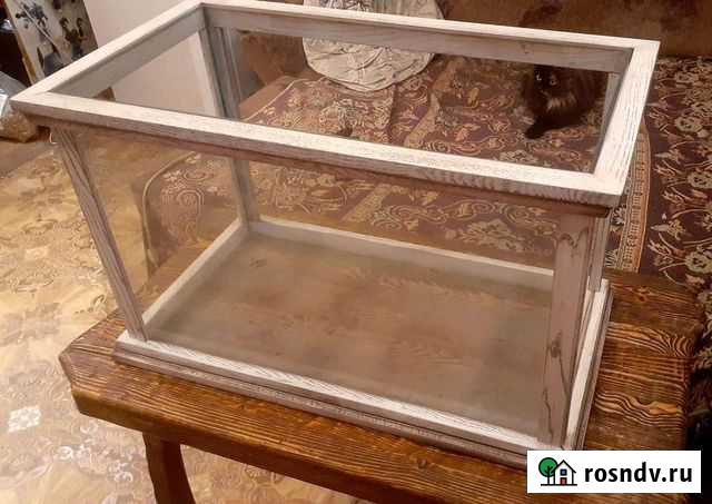 Аквариум Иркутск - изображение 1