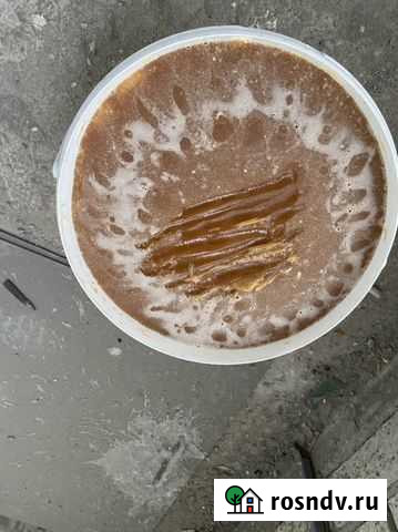 Продаётся мед разнотравье с гречихой Пенза - изображение 1