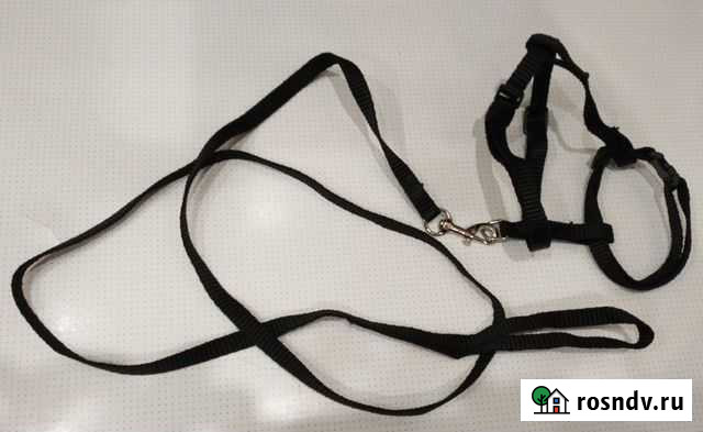 Шлейка + поводок Ангарск - изображение 1