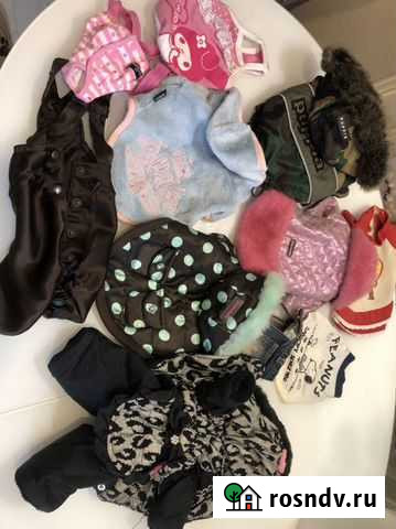 Одежда для собак б/у в отличном состоянии Киров - изображение 1