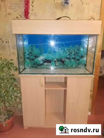 Аквариум Ростовка - изображение 1