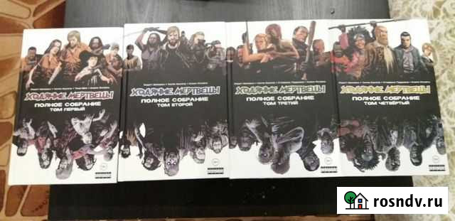 Комикс Ходячие Мертвецы. Том 1 Петропавловск-Камчатский - изображение 1