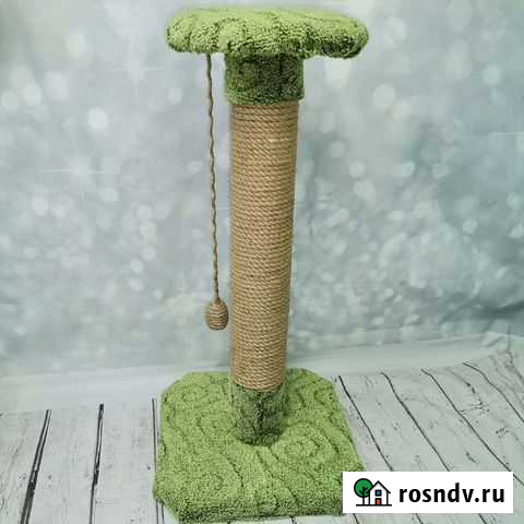 Когтеточка Малышева - изображение 1