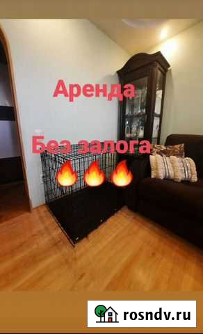 Аренда клетки для животных Киров - изображение 1