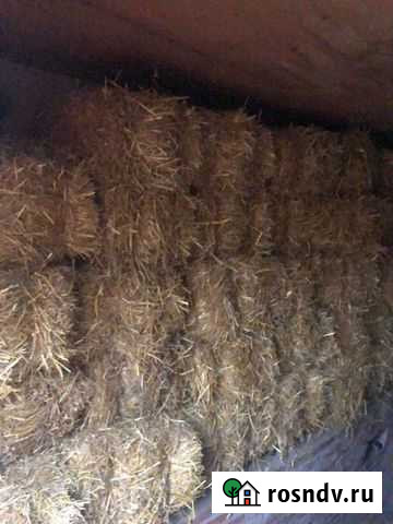 Солома сено Брюховецкая - изображение 1