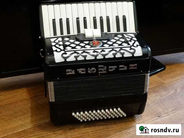 Аккордеон половинка Санкт-Петербург - изображение 1