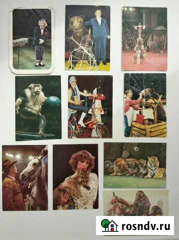 Календарики карманные СССР. Цирк Новосибирск - изображение 1