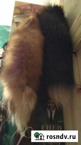 Хвост Тула - изображение 1