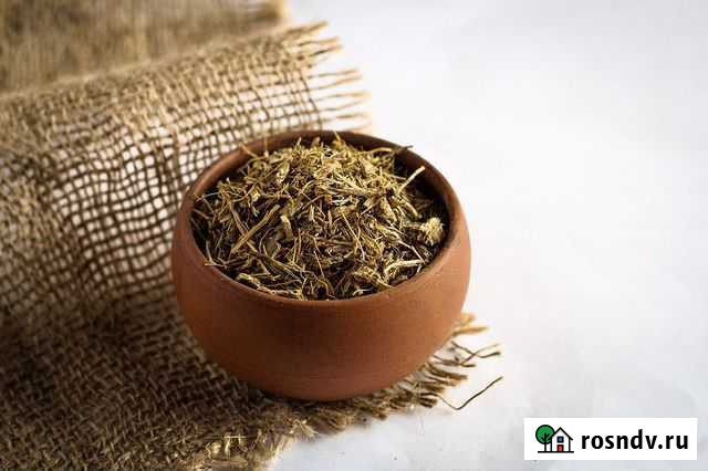 Маралий корень (левзея) Барнаул - изображение 1