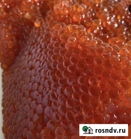 Продам икру Комсомольск-на-Амуре - изображение 1