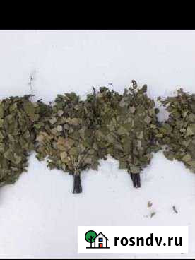 Веники для бани Полетаево - изображение 1