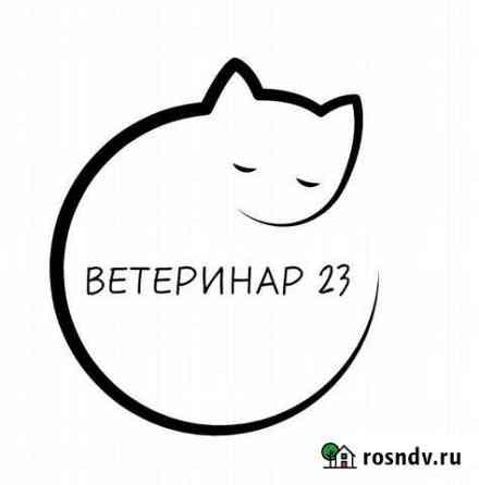 Стерилизация и кастрация кошек и котов на дому Майкоп