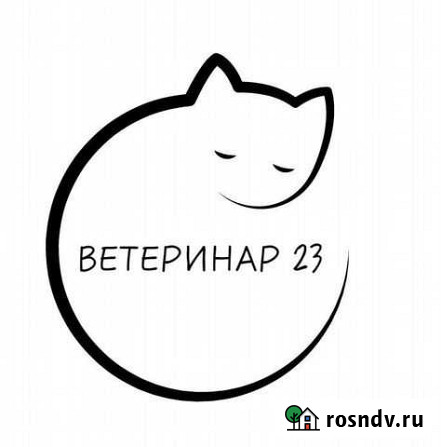 Стерилизация и кастрация кошек и котов на дому Майкоп - изображение 1