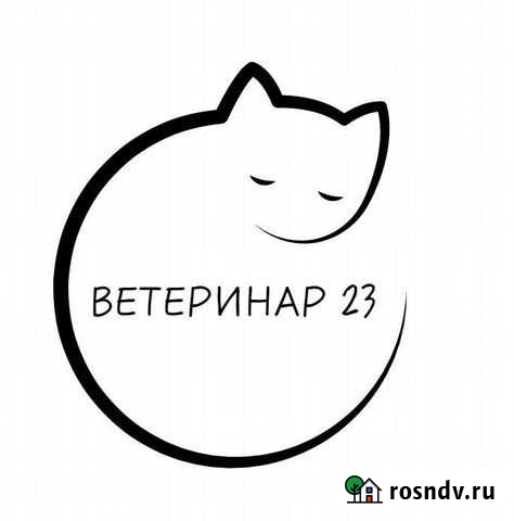 Стерилизация и кастрация кошек и котов на дому Майкоп - изображение 1