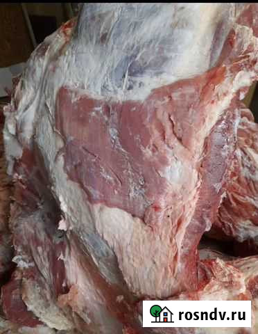 Мясо говядина Ижевск - изображение 1