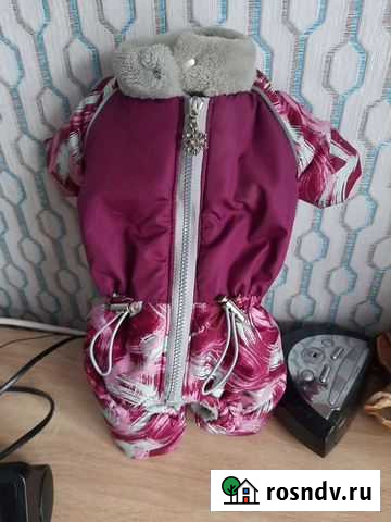 Комбинезон для маленькой собаки Белогорск - изображение 1