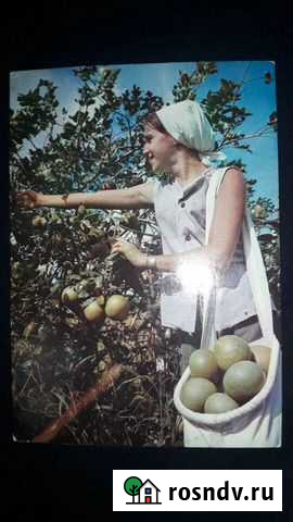 Почтовые открытки, Куба, 80-е годы Киров - изображение 1