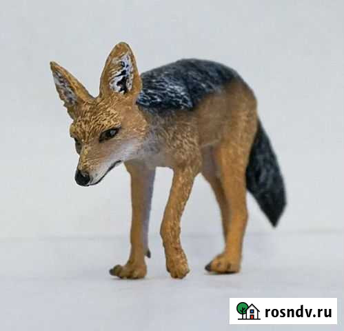 Чепрачный шакал Collecta Новокузнецк - изображение 1