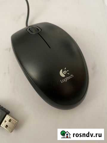 Мышь Иркутск - изображение 1