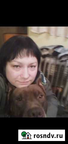 Домашняя передержка Гарболово - изображение 1