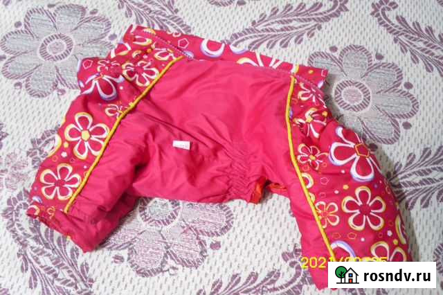 Комбинезон для маленькой собаки Орск - изображение 1