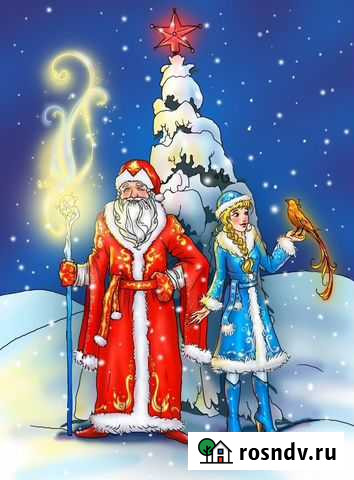 Дед Мороз и Снегурочка на дом Нижний Новгород - изображение 1