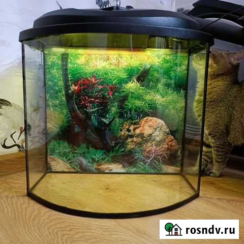 Аквариум Симферополь - изображение 1