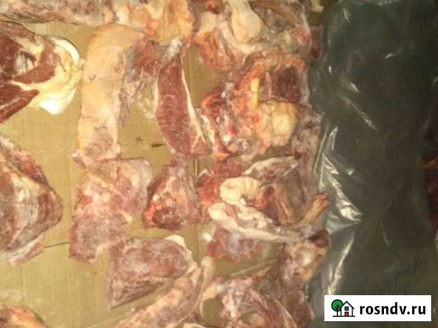 Мясо конина Новоомский - изображение 1