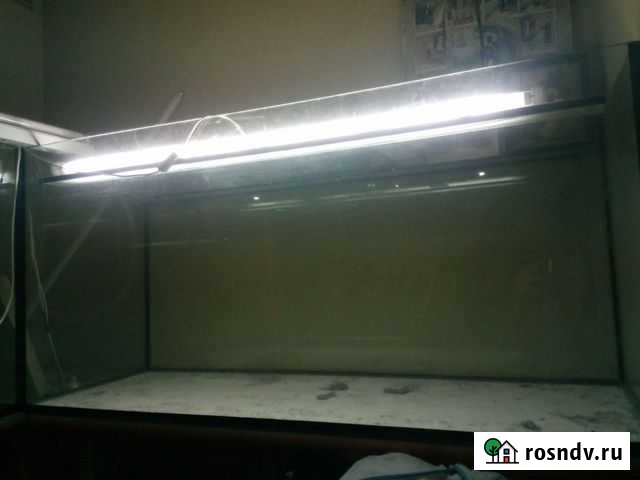 Аквариум Сургут - изображение 1